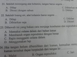 Pola Soal Ujian dan Kemampuan Berpikir Siswa