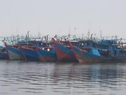 Tangkap Ikan Pakai Pukat Harimau di Riau, 7 Kapal dan 48 Orang Ditangkap