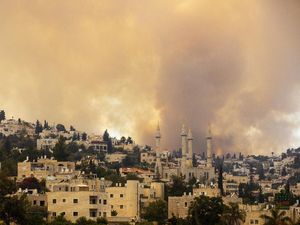 Kobaran Si Jago Merah Lalap Hutan di Yerusalem