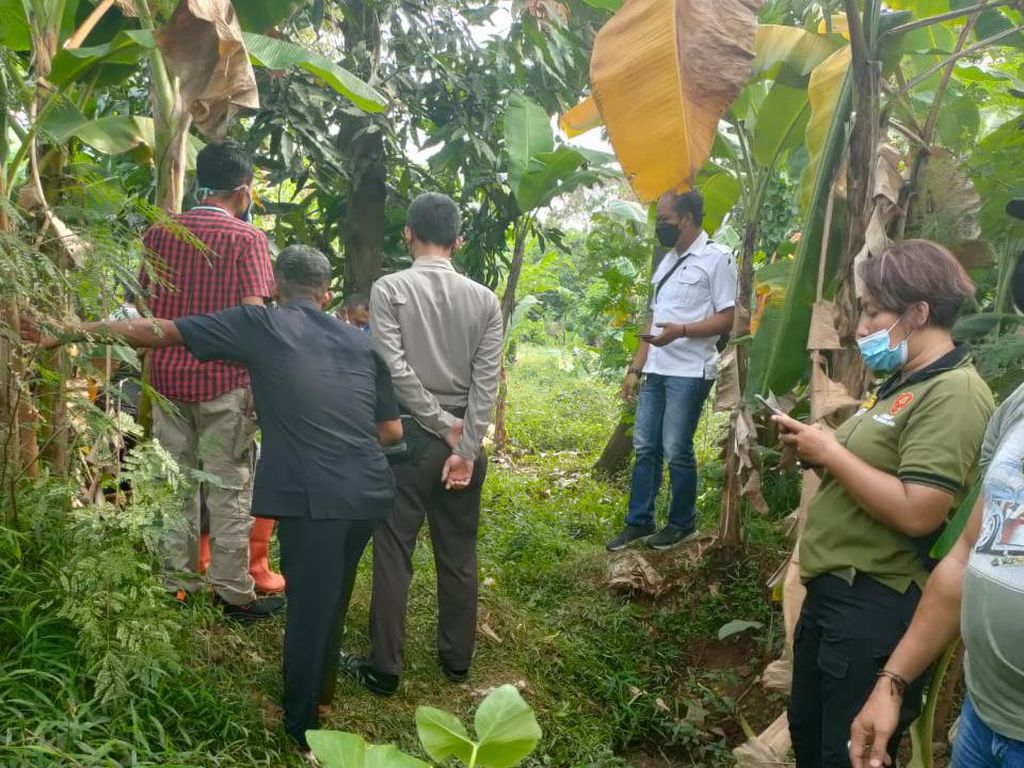 Heboh Penemuan Jasad Bayi di Bekasi Diduga Hasil Hubungan Gelap Kakak-Adik Heboh Penemuan Jasad Bayi di Bekasi Diduga Hasil Hubungan Gelap Kakak-Adik