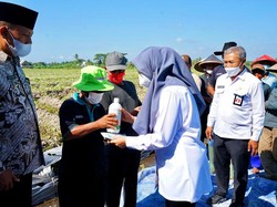 Banyuwangi Luncurkan Layanan Konsultasi Online ke Petani