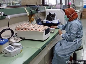 ITD Unair Ungkap Potensi Tanaman Ini Jadi Obat Anti-HIV, Jenis Apa Ya? ITD Unair Ungkap Potensi Tanaman Ini Jadi Obat Anti-HIV, Jenis Apa Ya?
