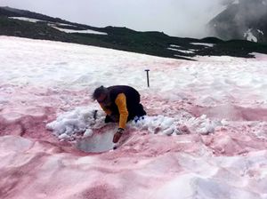 Salju Pegunungan Alpen Berubah Jadi Merah Darah