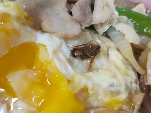 Iyuhh! Netizen Temukan Kecoak dalam Nasi yang Dipesan Via Ojol Iyuhh! Netizen Temukan Kecoak dalam Nasi yang Dipesan Via Ojol
