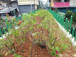 Taman Jembatan Kota Paris di Tempat Rawan Tawuran, Bagaimana Menjaganya?
