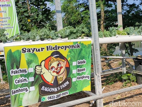 Di Warung KKB Bisa Makan Ikan Wader Hasil Pancingan dari Sungai Brantas!
