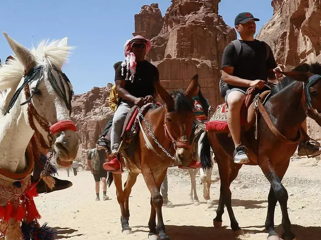 Tanpa Turis, Hari-hari Keledai-keledai Petra pun Santuy