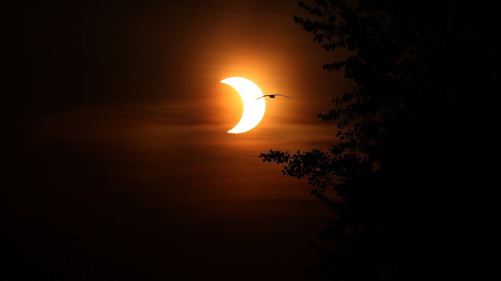 GRAND CANYON NATIONAL PARK, AZ - MAY 20:  A composite of images of the first annular eclipse seen in the U.S. since 1994 shows several stages, left to right, as the eclipse passes through annularity and the sun changes color as it approaches sunset on May 20, 2012 in Grand Canyon National Park, Arizona. Differing from a total solar eclipse, the moon in an annular eclipse appears too small to cover the sun completely, leaving a ring of fire effect around the moon. The eclipse is casting a shallow path crossing the West from west Texas to Oregon then arcing across the northern Pacific Ocean to Tokyo, Japan. (Photo by David McNew/Getty Images)