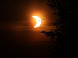 Ini Negara yang Bisa Saksikan Gerhana Matahari 30 April 2022