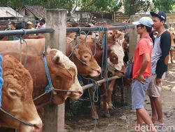 Imbauan Kemenkes Terkait Hari Raya Idul Adha di Masa PPKM Darurat
