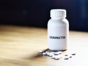 ICW Duga Moeldoko-Kader PDIP Ada Kaitannya dengan Ivermectin ICW Duga Moeldoko-Kader PDIP Ada Kaitannya dengan Ivermectin