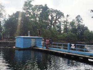 Kolam Utama Mata Air Umbulan Resmi Ditutup untuk Umum Kolam Utama Mata Air Umbulan Resmi Ditutup untuk Umum