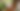 Foto ilustrasi: iStock