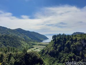 Iblis Merah, Ikan Rakus PR Khusus untuk Gubsu Edy Rahmayadi Iblis Merah, Ikan Rakus PR Khusus untuk Gubsu Edy Rahmayadi