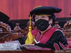 Profesor Kehormatan, Kepeloporan, dan Kekaryaan