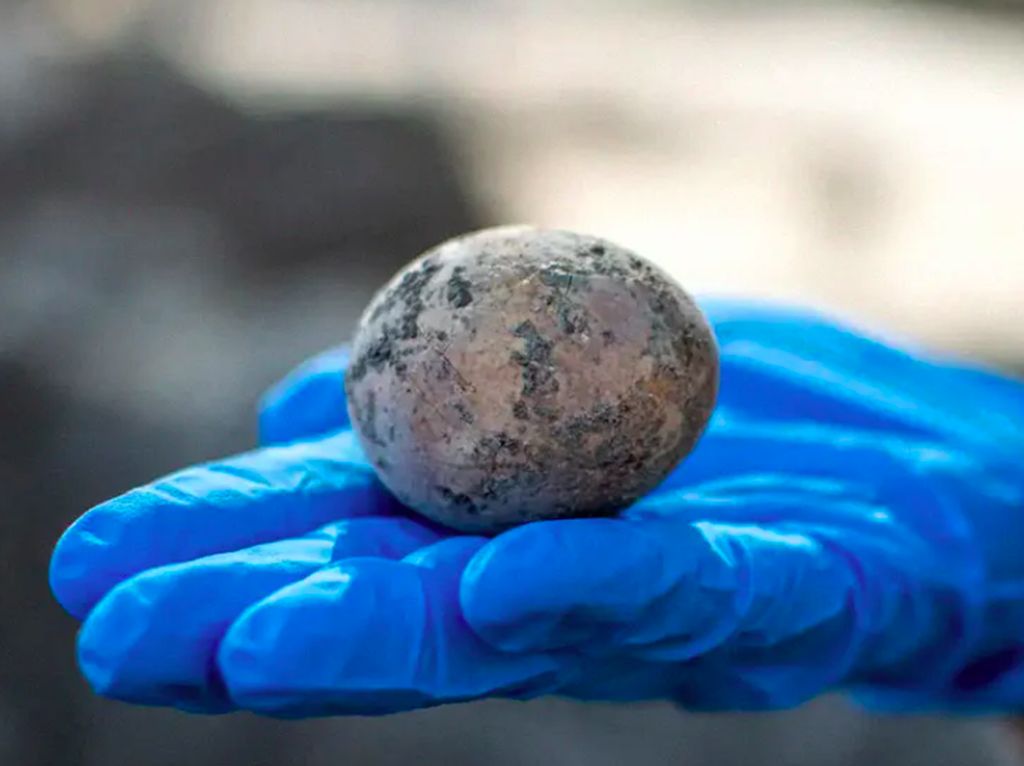 Langka, Telur Ayam Ini Usianya 1.000 Tahun Langka, Telur Ayam Ini Usianya 1.000 Tahun