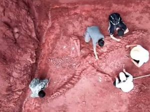 Fosil Dinosaurus Usia 180 Juta Tahun Ditemukan Nyaris Utuh