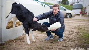 Mark Zuckerberg Sederhana? Lihat Dulu Foto Ini