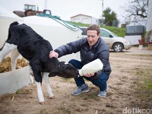 Kehidupan Mark Zuckerberg Terlihat Sederhana, Padahal...