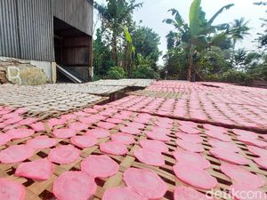 Asal Usul Kerupuk RO, Kerupuk Pink Terkenal dari Purwarkarta