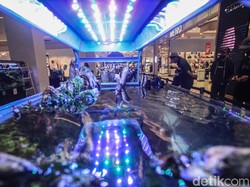 Mengintip Keindahan Ekosistem Aquascape di TSM Cibubur