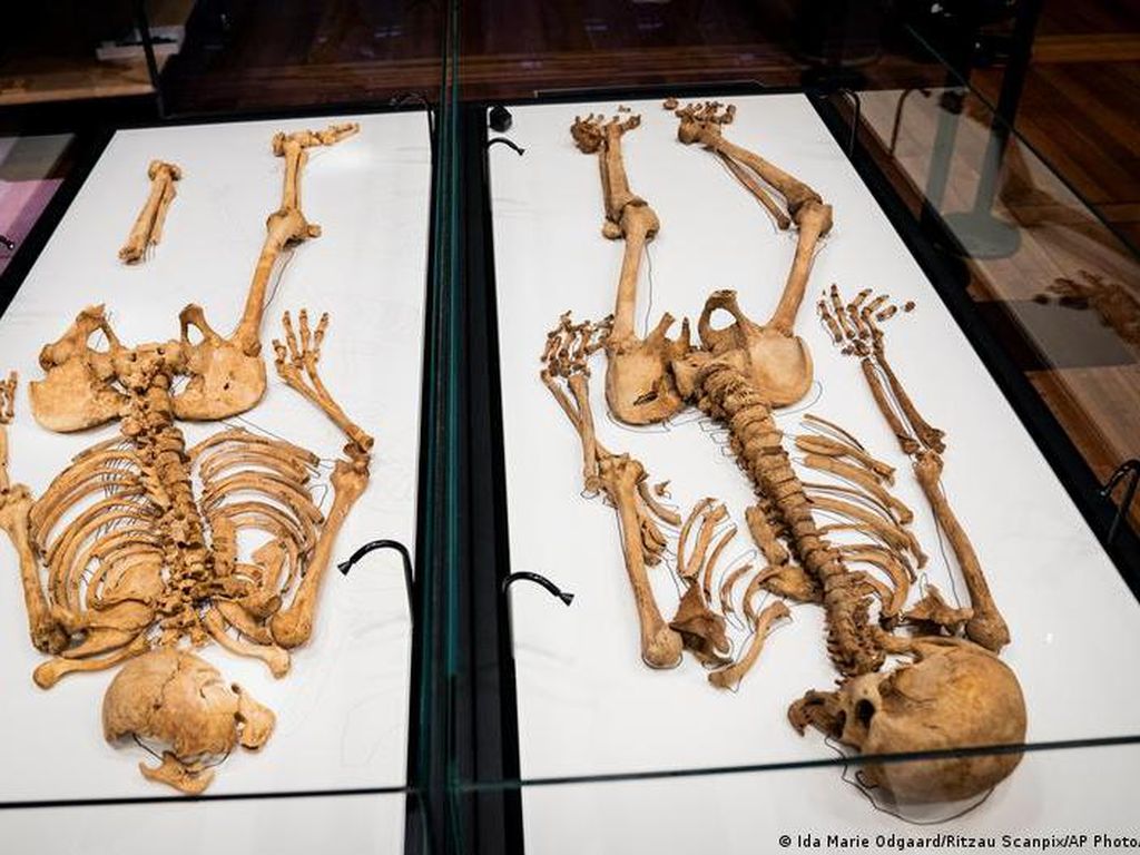 Tes DNA Ungkap Hubungan Keluarga 2 Kerangka Viking di Denmark dan Inggris Tes DNA Ungkap Hubungan Keluarga 2 Kerangka Viking di Denmark dan Inggris