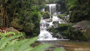 Air Terjun Salu Dambu, Lukisan Alam dari Mamasa