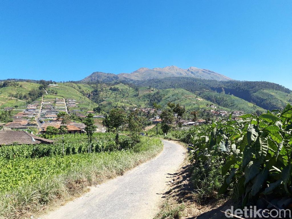 Gembiranya Masih Bisa Berjumpa Penguasa Angkasa Gunung Merbabu Gembiranya Masih Bisa Berjumpa Penguasa Angkasa Gunung Merbabu