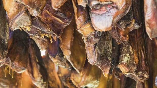 Specialty of iceland called hakarl fermented shark in open warehouse