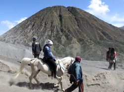 Gunung Semeru Erupsi, Aktivitas Gunung Bromo Stabil