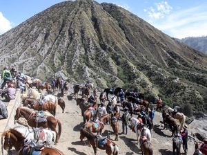 Viral Pemalakan saat Rekam Kuda di Bromo, Pengelola: Salah Paham