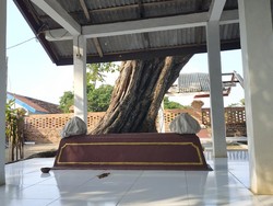 Kisah Spiritual Anggota Satpol PP Bertemu Pria Diyakini Jelmaan Syekh Brubuh