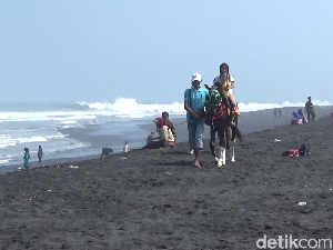 Alternatif Wisata Lumajang, Berkuda-Kulineran di Pantai Watu Pecak Alternatif Wisata Lumajang, Berkuda-Kulineran di Pantai Watu Pecak