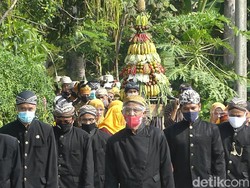 Melihat Sedekah Sawah, Tradisi Tebar Ribuan Belut di Banjarnegara