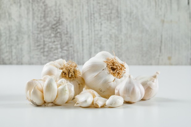 Foto: Bawang putih/freepik.com Foto: Bawang putih/freepik.com