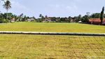 Foto Lapangan Bola di Ciamis yang Punya Rumput seperti GBLA