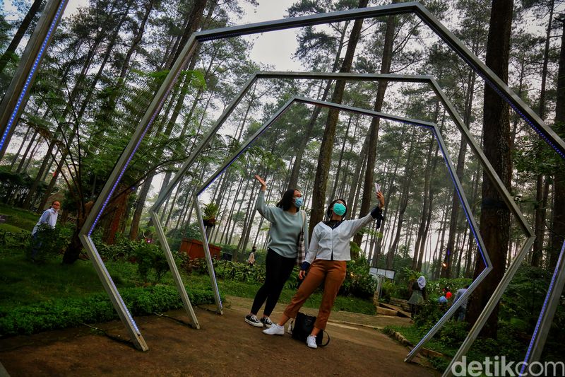 Orchid Forest Cikole Lembang