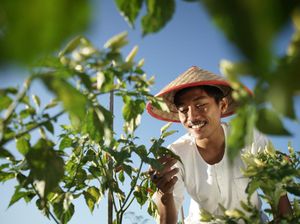 Dukung Pelaku Usaha, bank bjb Bangun Kemitraan di Berbagai Sektor