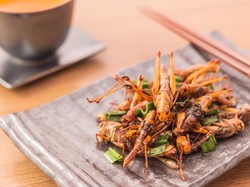 Serangga Bisa Dijadikan Alternatif Protein Hewani? Begini Kata Pakar Unpad