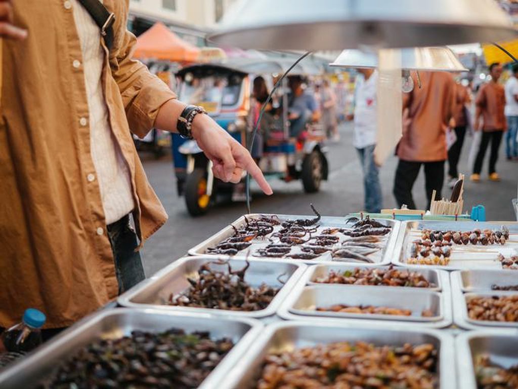 7 Serangga Ini Bisa Dimakan, Bahkan Dianjurkan PBB! 7 Serangga Ini Bisa Dimakan, Bahkan Dianjurkan PBB!