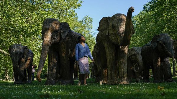 Taman di London Disulap Jadi Kebun Gajah, Ada Apa?