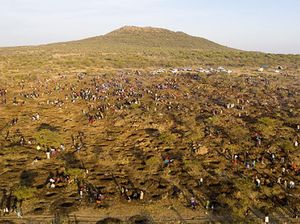 1.000 Pemburu Berlian Berlomba Keluar dari Kemiskinan