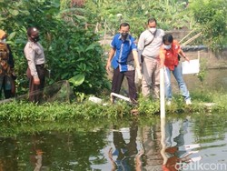 Balita di Tulungagung Tewas Tenggelam Saat Main di Kolam Ikan