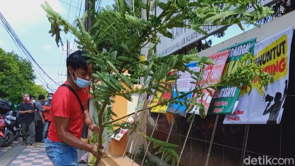 Bawa Pohon Pisang-Sengon, Warga Terimbas Tol Yogya-Solo Geruduk BPN