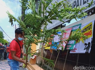 Bawa Pohon Pisang-Sengon, Warga Terimbas Tol Yogya-Solo Geruduk BPN