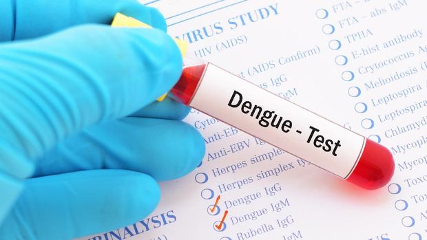 Ilustrasi Nyamuk Demam Berdarah, Ilustrasi DBD, Ilustrasi Dengue fever