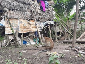 Pemkab Ogan Ilir Janji Bikinkan Rumah untuk Lansia Tinggal di Kandang Ayam Pemkab Ogan Ilir Janji Bikinkan Rumah untuk Lansia Tinggal di Kandang Ayam