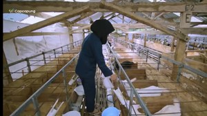 Inspiratif! Petani dan Peternak Ini Sukses Merintis Usaha dari Nol