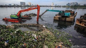 Pengerukan Waduk Pluit Demi Mencegah Banjir