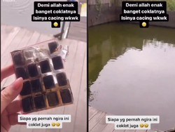 Waduh! Netizen Ini Ngemil Cacing Beku yang Dikira Cokelat
